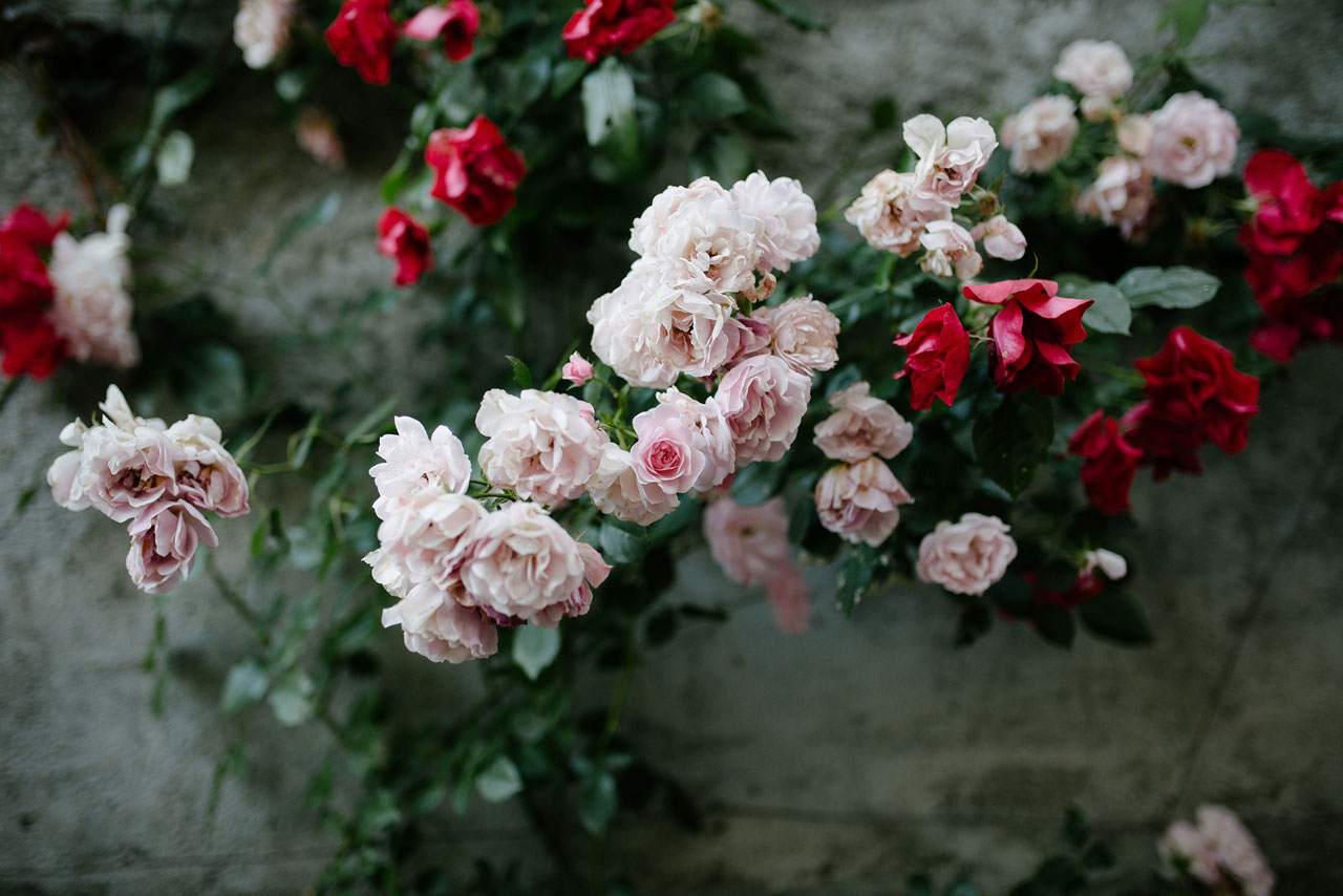 Details of an unattended cremation ceremony